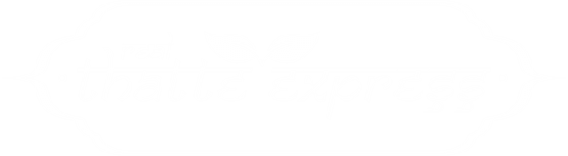 the thatte express logo