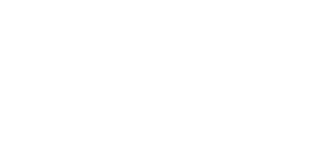 Virtual Biz Card Logo